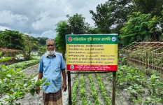 পারিবারিক বাগানে মিলছে পুষ্টি ও অর্থ 