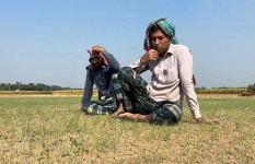 বালুর সাথে কীটনাশক মিশিয়ে পেঁয়াজের বীজতলায় দিলো দুর্বৃত্তরা, আড়াই লাখ টাকার ক্ষতি   