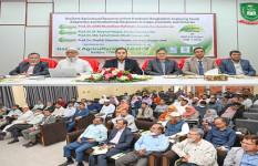 মহামারি পরবর্তী বাংলাদেশে টেকসই কৃষি পুনরুদ্ধার বিষয়ে গাকৃবিতে কর্মশালা