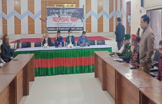 সালথায় শহীদ বুদ্ধিজীবী দিবস পালিত