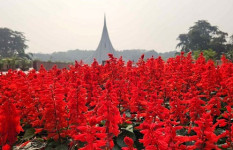 স্মৃতির রক্তিম আলোয় উদ্ভাসিত বিজয়ের দিন 