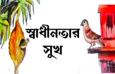 স্বাধীনতার সুখ
