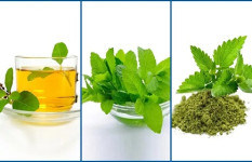 শীতে তুলসী পাতার উপকারিতা