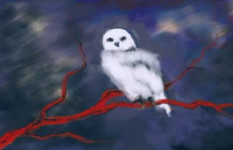 আট বছর আগে একদিন