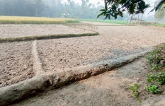 সেচের পানি না দেয়ায় ইরি-বোরা আবাদ করতে পারেনি কৃষক