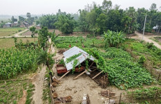 নীলফামারীতে ঝড়ের তাণ্ডব, ফসলের ব্যাপক ক্ষয়ক্ষতি 