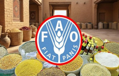 বিশ্বজুড়ে খাদ্যপণ্যের দাম বাড়ার সতর্কতা জাতিসংঘের