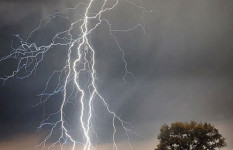 সারাদেশে বজ্রপাতে ১২ জনের মৃত্যু