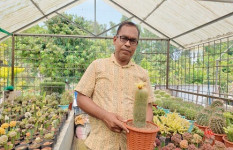 মনোমুগ্ধকর নটো ক্যাকটাসের ফুল দেখার জন্য ছুটছে ক্যাকটাস প্রেমীরা
মাদারীপুরে হর্টিকালচার সেন্টার 