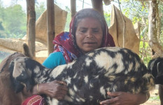 জিন্না বেগমের ছাগল পালনের সংগ্রামী গল্প 