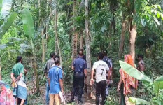 ফরিদপুরে বিলের মধ্যে দ্বীপে মেহগুনি গাছের সঙ্গে ঝুলছিলো রঞ্জিতের মরদেহ