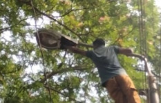 অসহায় পাখির পাশে দাঁড়িয়ে মানবতার উদাহরণ গড়লেন সুমন শেখ   