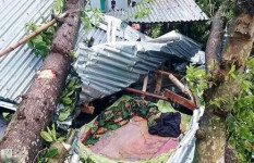 ঝড়ে ঘরের ওপর গাছের চাপা, প্রাণ গেল মা ও দুই মেয়ের