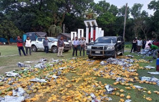 দেবহাটায় প্রায় ১ হাজার কেজি অপদ্রব্য মেশানো আম বিনষ্ট