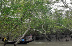 সুন্দরবনে মুক্তিপণের দাবিতে দুই বনজীবী অপহরণ