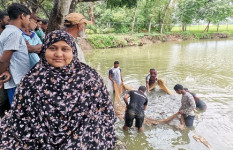 দিনাজপুরে বাণিজ্যিকভাবে জীবন্ত বড় মাছ উৎপাদনে নারী উদ্যোক্তা সুরাইয়ার সাফল্য 