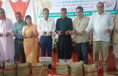 দিনাজপু‌রে বো‌রো ধান-চাল সংগ্রহ অ‌ভিযান শুরু