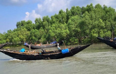 মুক্তিপণ দিয়েও ছাড়া পাননি সুন্দরবনে অপহৃত চার জেলে