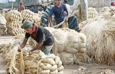 বিশ্ববাজারে পাটের হারানো গৌরব ফিরে আসুক
