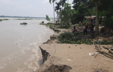 বন্যার পানি কমতেই কুড়িগ্রামে ভাঙনের থাবা, বিলীন বসতভিটা-ফসলি জমি