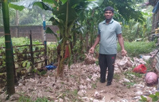 টানা বর্ষণে প্লাবিত বাঙ্গালহালিয়া: দেড় হাজার মুরগি পানিতে তলিয়ে খামারির আহাজারি