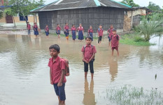 দুই সপ্তাহের টানা বৃষ্টিতে ভয়াবহ জলাবদ্ধতার কবলে  সাতক্ষীরা, জনভোগান্তি চরমে