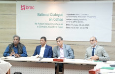 দেশে তুলা চাষের অপার সম্ভাবনা, প্রয়োজন সমন্বিত উদ্যোগ ও প্রণোদনা