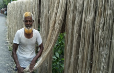 সোনাতলায় ৫১ কোটি টাকার পাট বিক্রির আশা