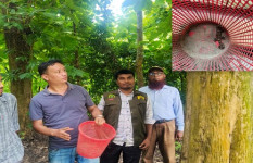 চন্দ্রঘোনা থেকে বিরল প্রজাতির হাঁসপা তক্ষক উদ্ধার, আটক ১