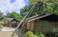 চিৎমরমে দুই বছর ধরে ঝুঁকির মুখে ৩৫ পরিবার: বসতঘর ও রাস্তায় পড়ে আছে বিদ্যুতের খুঁটি ও তার