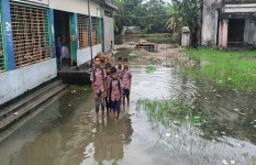 হাঁটু পানিতে ডুবে আছে গ্রাম, ঘরবাড়ি থেকে বিদ্যালয় এমনকি কবরস্থানও 