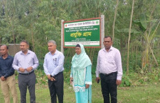 দিনাজপুরে ধান প্রযুক্তি গ্রাম পরিদর্শন করলেন কৃষি মন্ত্রণালয়ের প্রতিনিধি দল