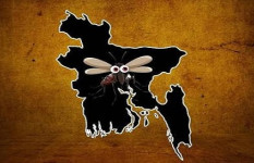 মশার কাছে রাষ্ট্রের পরাজয়