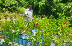 চাকুরি ছেড়ে আঙিনায় শখের নার্সারি, তাতেই সুচিত্র'র কর্মসংস্থান