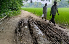 সালথার কামাইদিয়া স্কুল সড়কের বেহাল দশা, দুর্ভোগে এলাকাবাসী