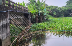 ব্রিজের মুখ ভরাট করে সরকারি জমি দখল
