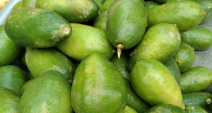 লেবুর হালি নেমেছে ২০ টাকায়