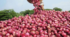 পেঁয়াজের কেজি ১৫০