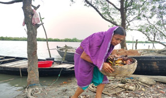 নদীতে কুড়িয়ে পাওয়া পাতায় হাড়ি জ্বলে তরী বালার