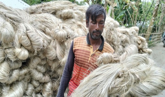 কৃষকের সোনালী আঁশে ভরে গেছে সোনাতলার হাট বাজার