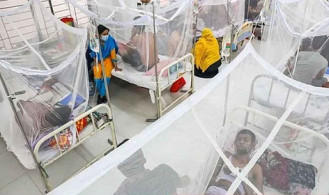 ডেঙ্গুতে ২৪ ঘণ্টায় ৫ জনের মৃত্যু 