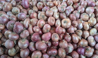 চালের দাম নিম্নমুখী, বেড়েছে পেঁয়াজের দাম