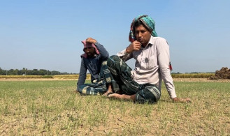 বালুর সাথে কীটনাশক মিশিয়ে পেঁয়াজের বীজতলায় দিলো দুর্বৃত্তরা, আড়াই লাখ টাকার ক্ষতি   