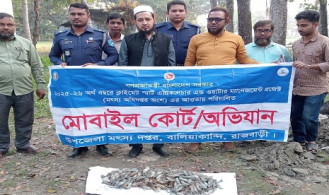 চিংড়ি মাছের পেটে জেলি পুশ, ব্যবসায়ীকে জরিমানা