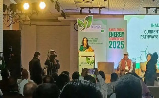 ‘রাজনৈতিক সরকার যা পারে আমরা তা পারি না, এভাবে অভ্যস্ত হয়ে গেছে’