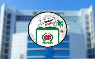 দেশে পৌঁছেছে ৪ লাখ ২২ হাজার প্রবাসীর ব্যালট