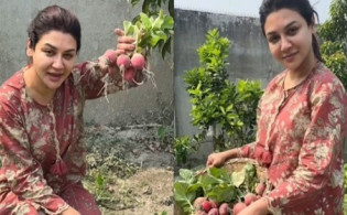 ‘ছোট জিনিসেও এত আনন্দ’, বাগানের মূলা তোলার পর জয়া