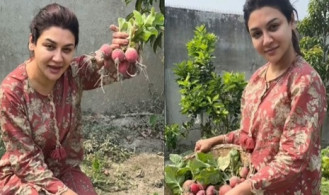 ‘ছোট জিনিসেও এত আনন্দ’, বাগানের মূলা তোলার পর জয়া