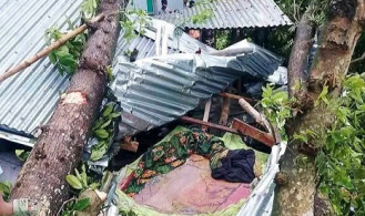 ঝড়ে ঘরের ওপর গাছের চাপা, প্রাণ গেল মা ও দুই মেয়ের