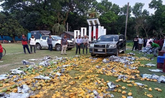 দেবহাটায় প্রায় ১ হাজার কেজি অপদ্রব্য মেশানো আম বিনষ্ট